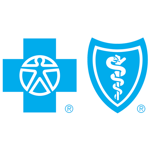 Blue Cross Blue Shield